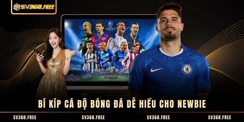 Bí kíp cá độ bóng đá dễ hiểu cho newbie