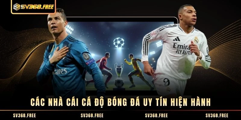 Các nhà cái cá độ bóng đá uy tín hiện hành Các nhà cái cá độ bóng đá uy tín hiện hành