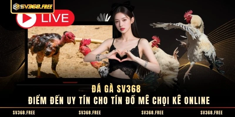 Đá Gà SV368 - Điểm Đến Uy Tín Cho Tín Đồ Mê Chọi Kê Online