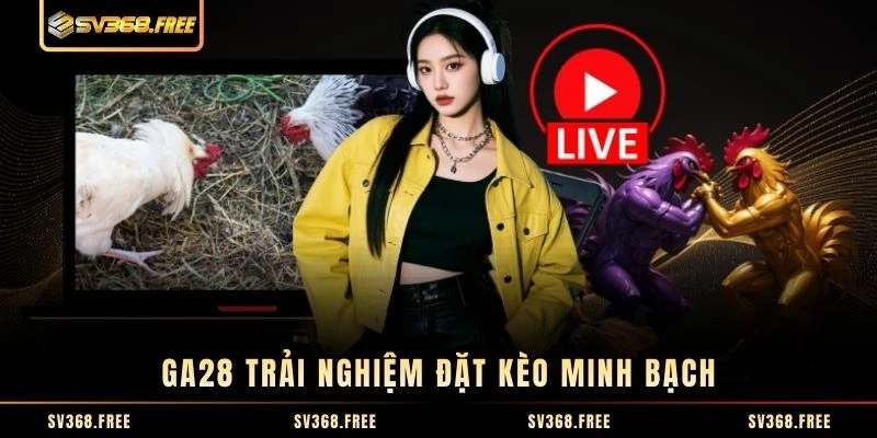 GA28 trải nghiệm đặt kèo minh bạch