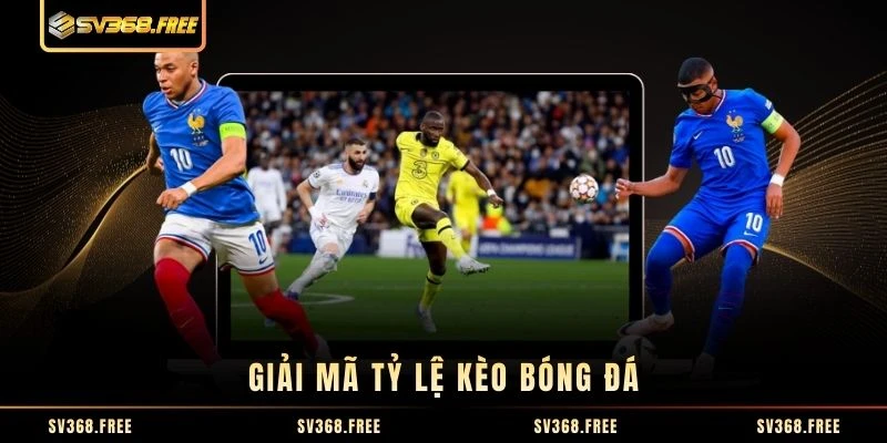 Giải mã tỷ lệ kèo bóng đá