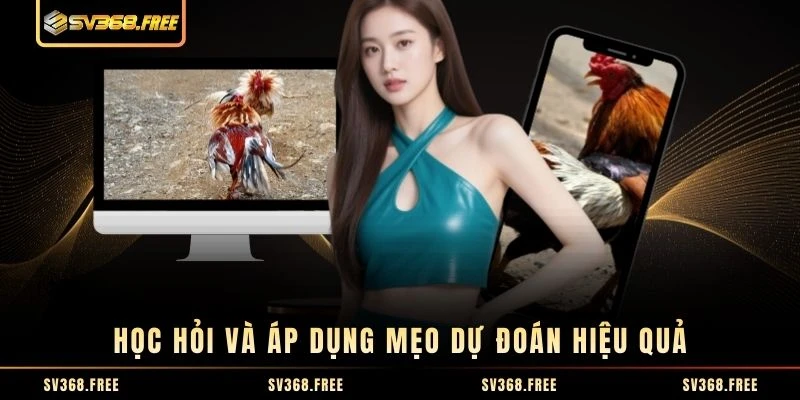 Học hỏi và áp dụng mẹo dự đoán hiệu quả