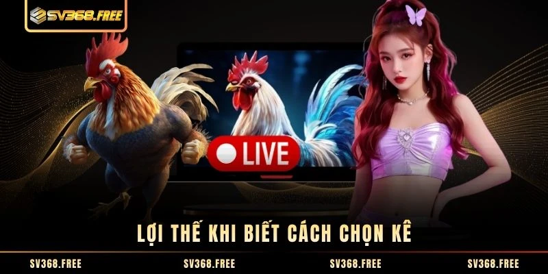 Lợi thế khi biết cách chọn kê