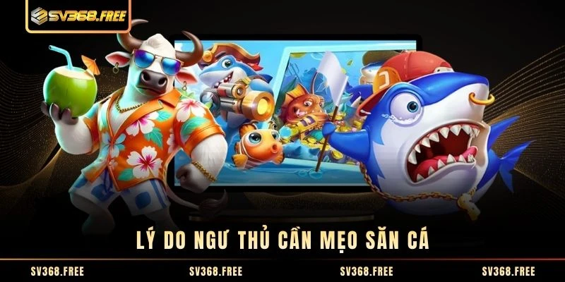 Lý do ngư thủ cần mẹo săn cá