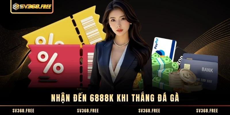 Nhận đến 6888K khi thắng đá gà