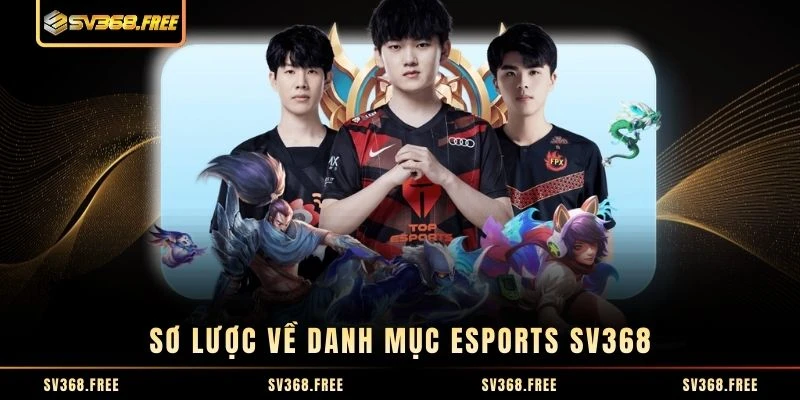 Sơ lược về danh mục Esports SV368 Sơ lược về danh mục Esports SV368