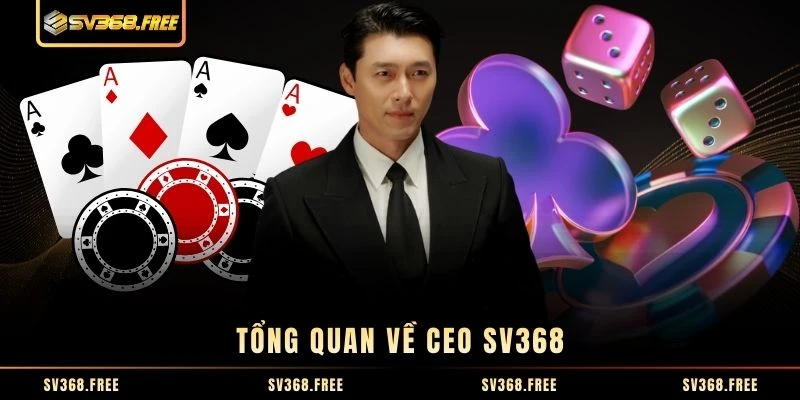 Tổng quan về CEO SV368