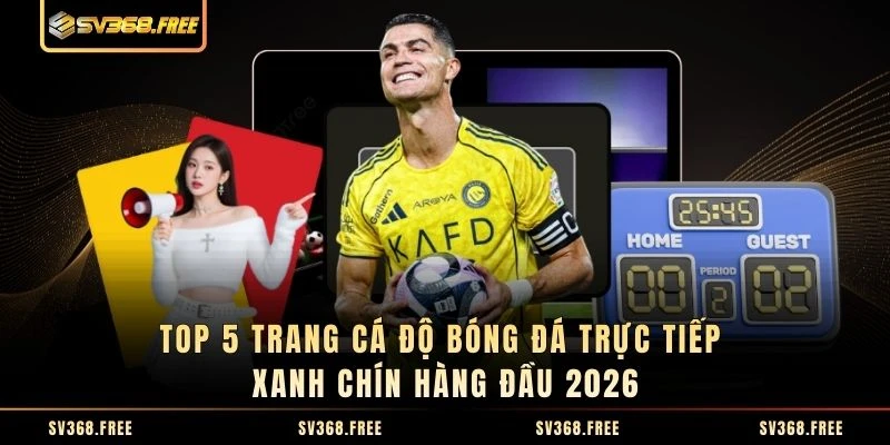 Top 5 Trang Cá Độ Bóng Đá Trực Tiếp Xanh Chín Hàng Đầu 2026